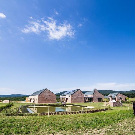 Oeregtoelgy Vendeghaz Villa Szár Buitenkant foto